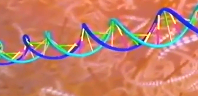 展示人体细胞内部的活动过程