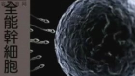 促干细胞疗法