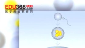 利用干细胞治疗疑难疾病