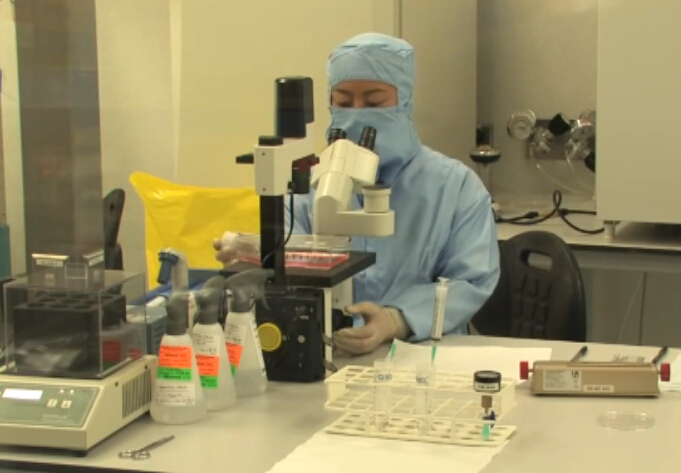 活细胞技术的研究与运用