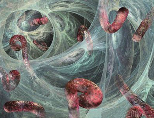 隔离控制传染源是埃博拉出血热防控关键所在