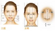 你必须知道的隆鼻美学标准