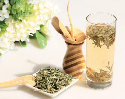 白茶抗衰老作用研究说明