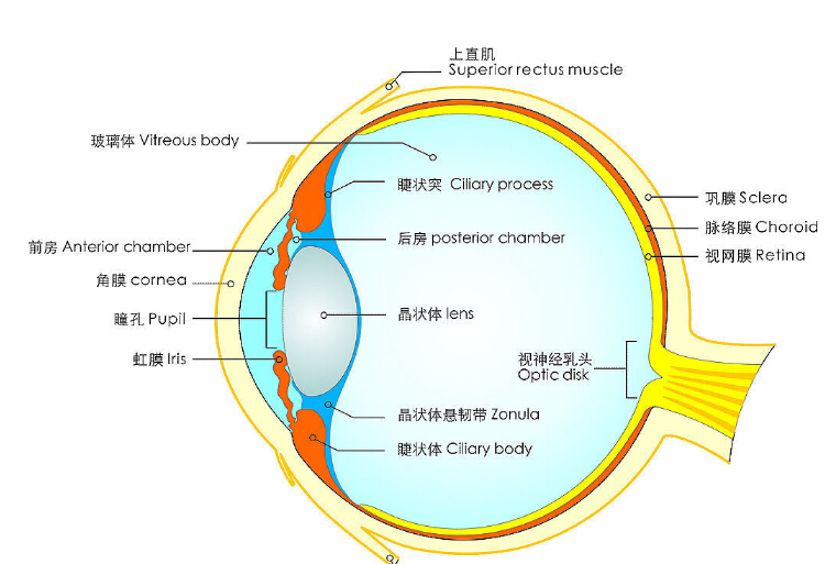 眼球内陷手术矫正过程